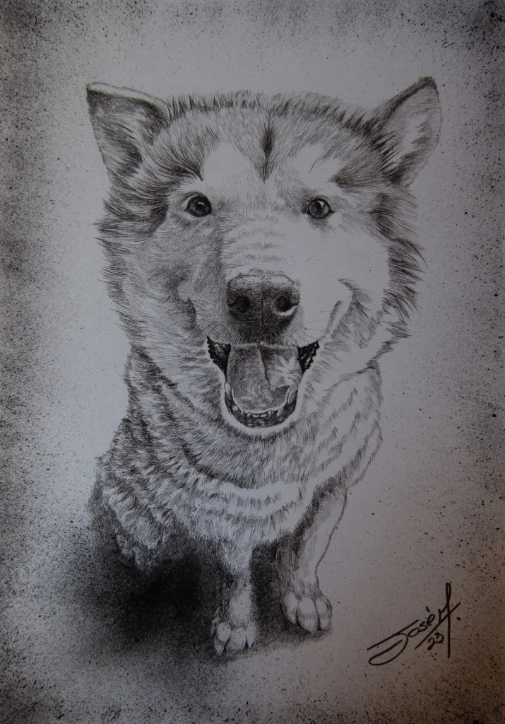 perrita